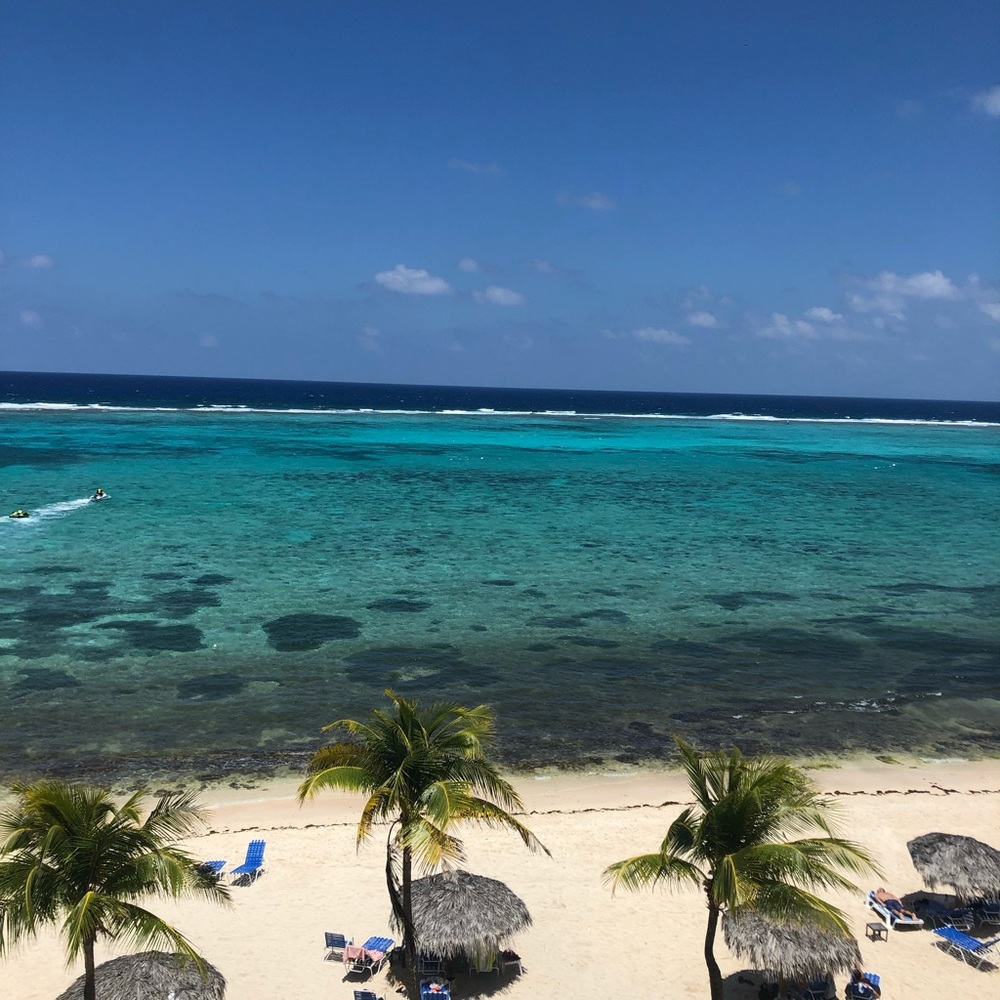 Meet your Posher, Laurie